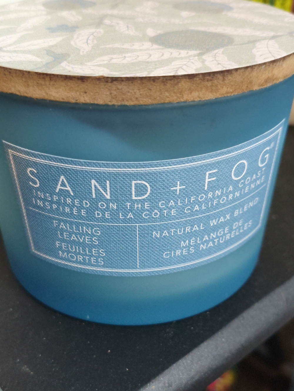 Sand + Fog Falling Leaves Candle 🕯️